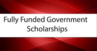 Fully Funded Dutch Government Scholarship in Netherlands